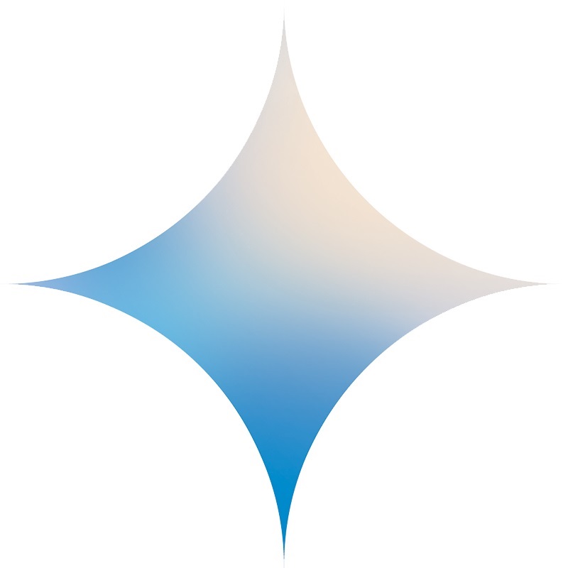 Gemini 1.5 pro